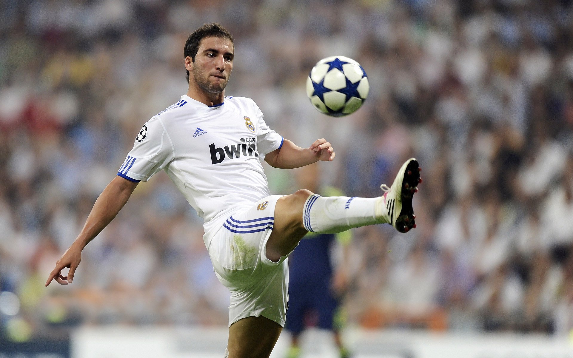 联盟是否应设立球员领导力发展基金