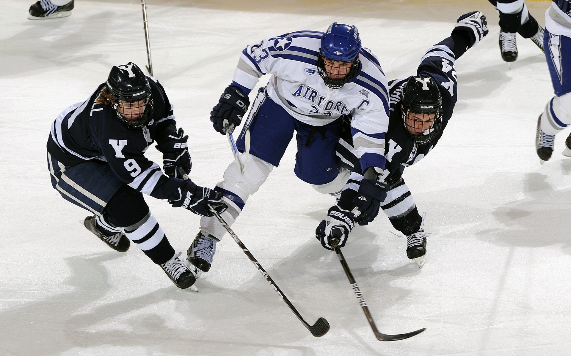“高新体育中心：羽毛球赛场技术与速度并行”