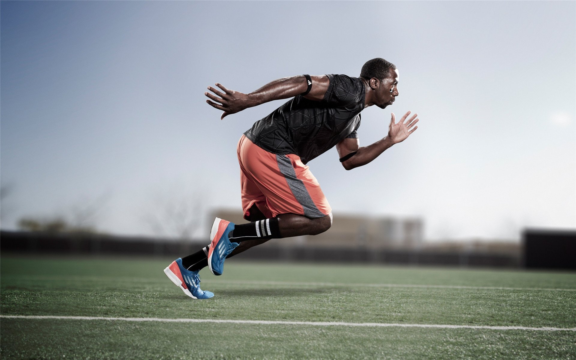 丹·卡特：打破橄榄球世界纪录，成为全黑队的历史人物，丹卡是什么电影